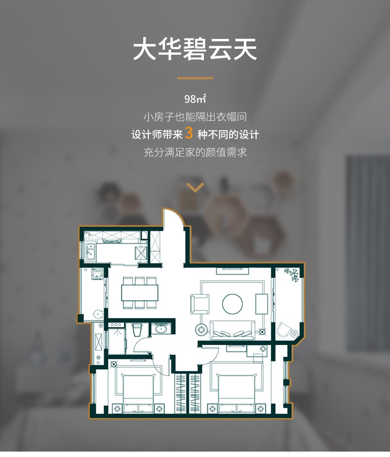 大华碧云天98m²详情图1