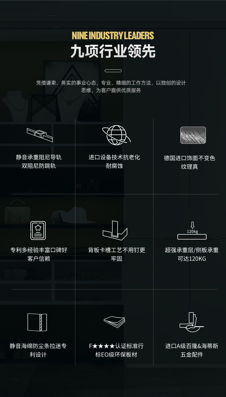 走入式现代玻璃衣柜图10